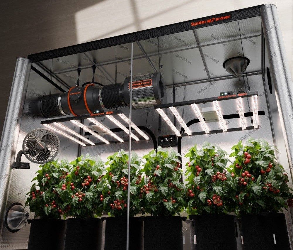 Complete 8×8 Grow SET Up