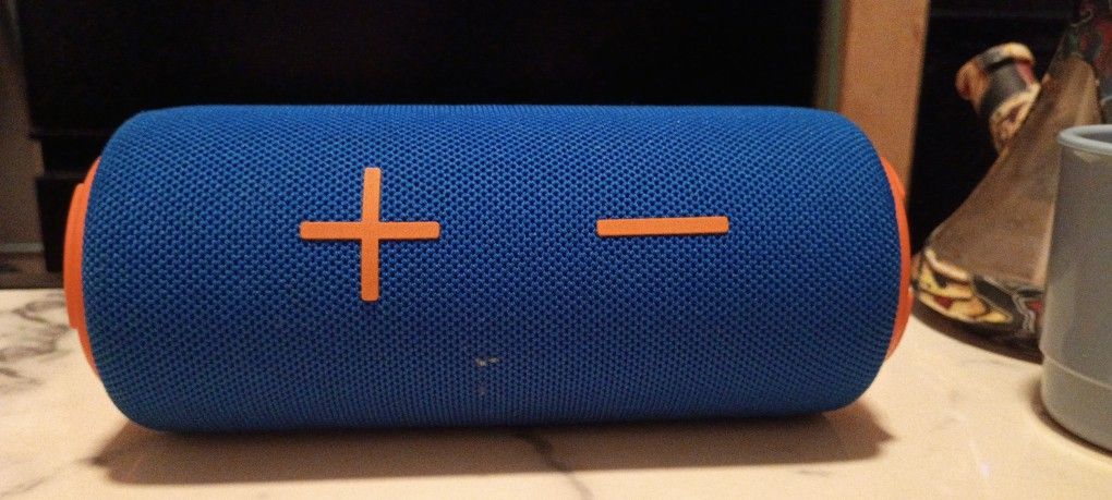 portable Bluetooth speaker and FM radio