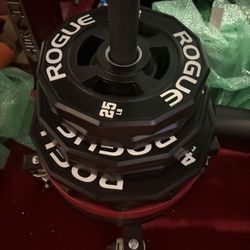 Rogue Urethane 12 Sided Plate Set For Sale 