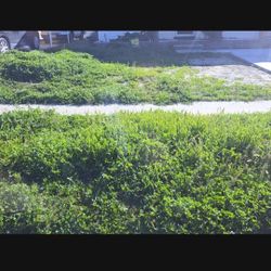 Landscape And Gardening 