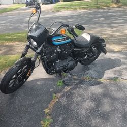 2019 Harley Davidson Iron 1200