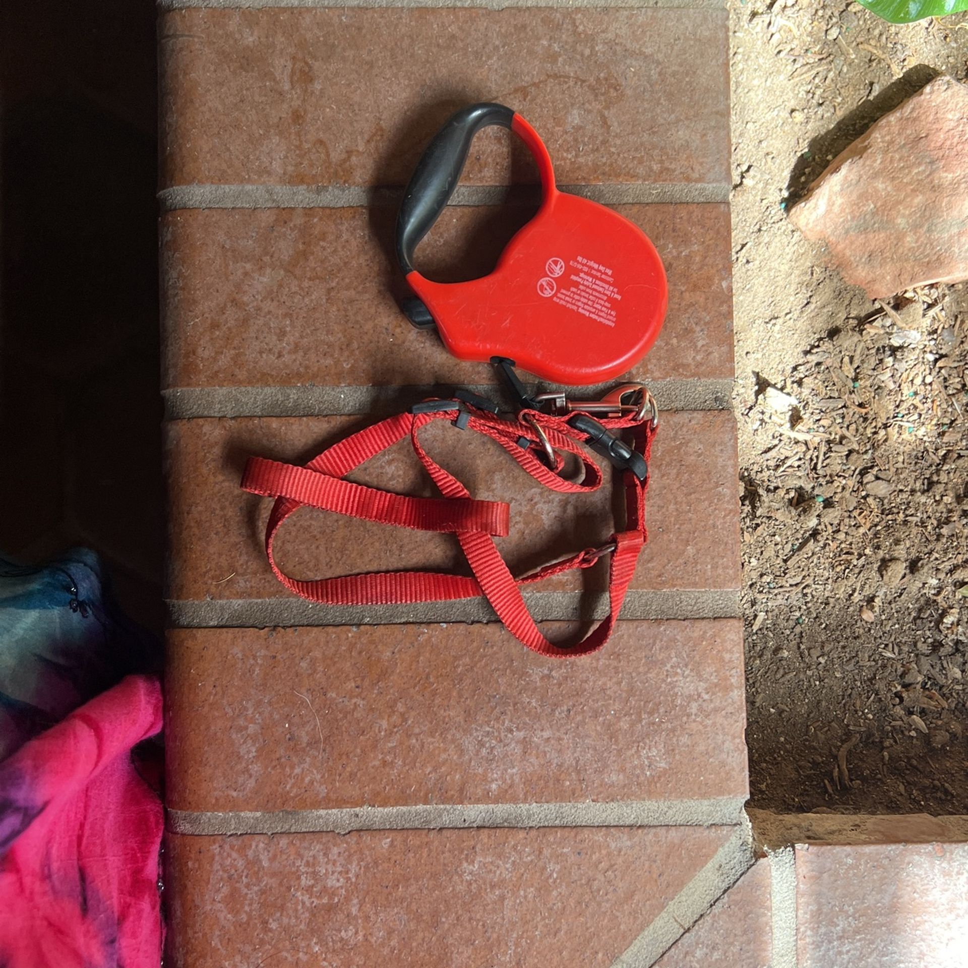 Retractable Leash And Collar 