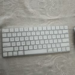 Magic Mouse Magic Keyboard 