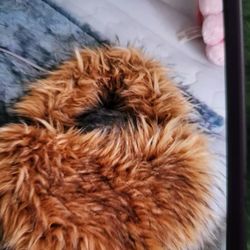 I Have Women Faux Bag Brown For Sale Use In Good Condition 