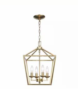 Light Gold Farmhouse Chandelier Light Fixture with Caged Metal Shade