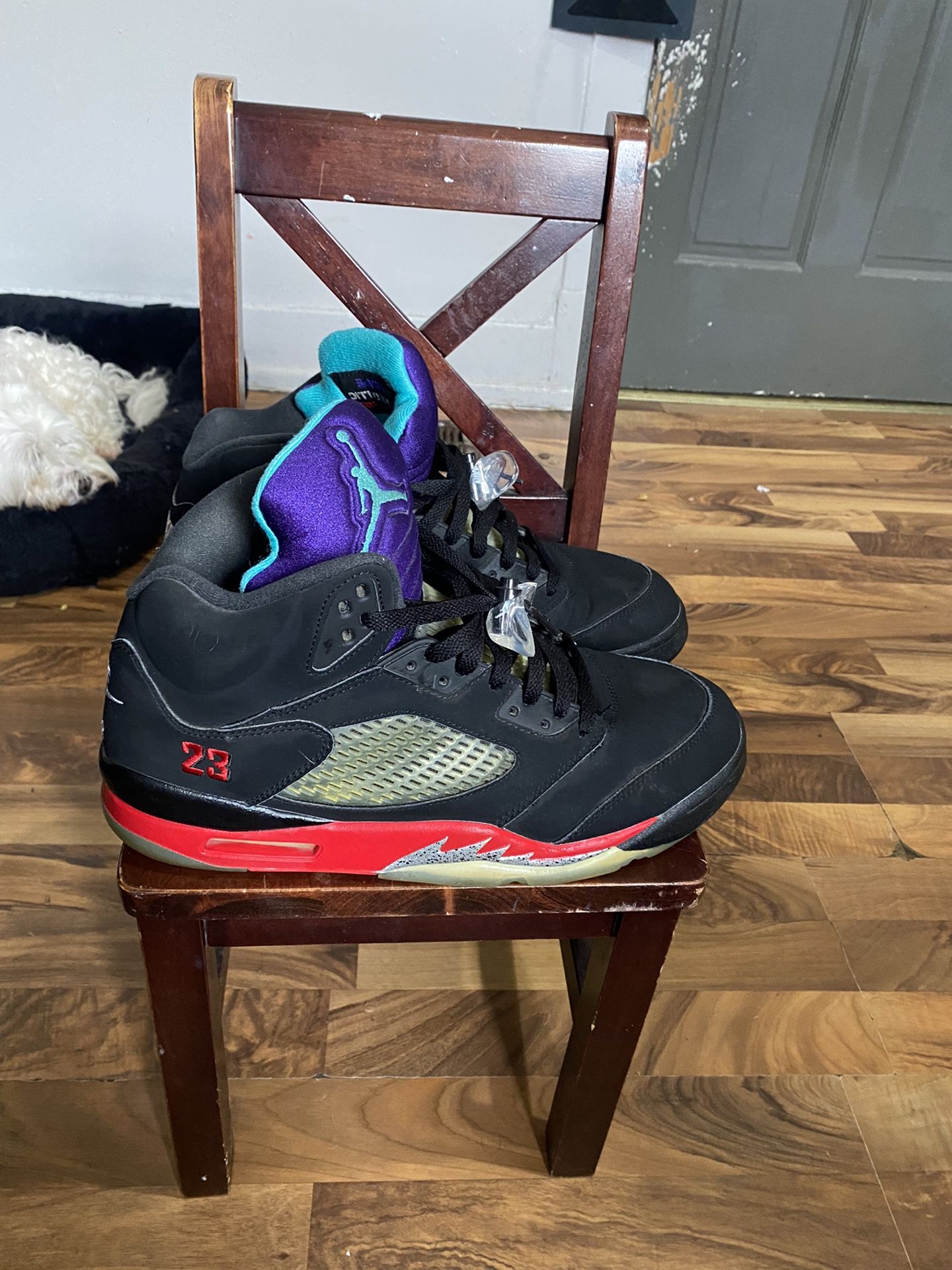 Shoes Size 12 Jordan 5rwtro