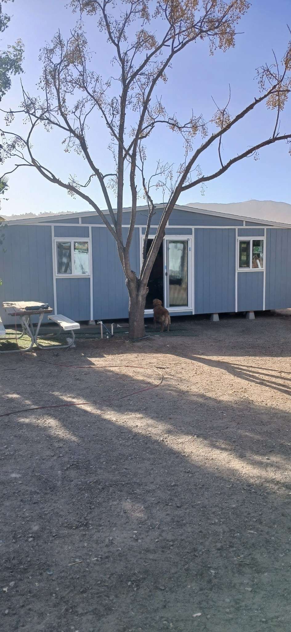 20x16x10 Shed