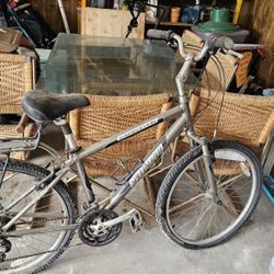 Specialized Expedition Bike