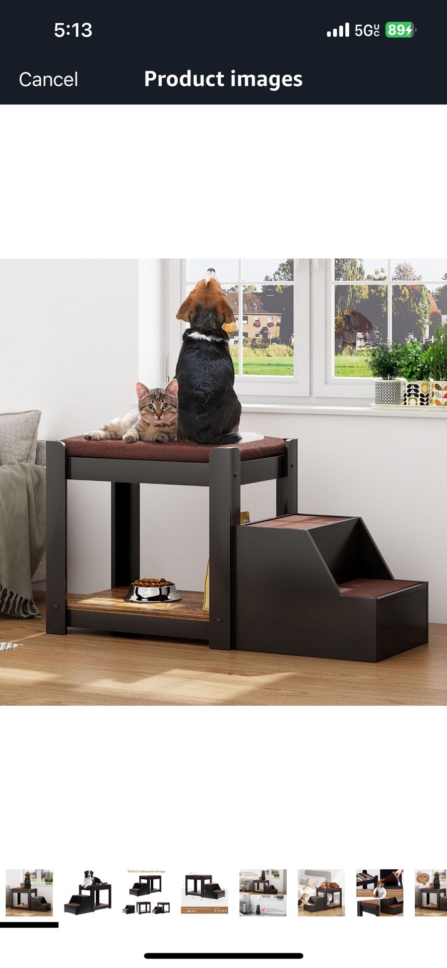 Dog Perch 