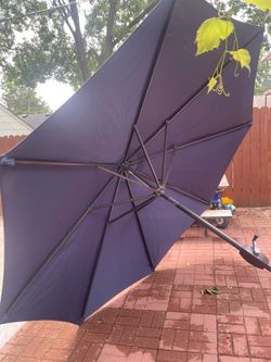 Patio Umbrella