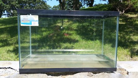 29 gallon rectangular glass aquarium