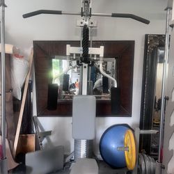 Hoist Home Gym System 