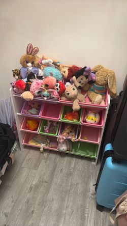 Girls Toys Organizer- everything included