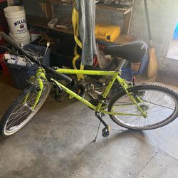 Green Skyhomish Mountain Bike