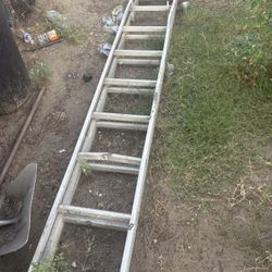 12ft Extension Ladder