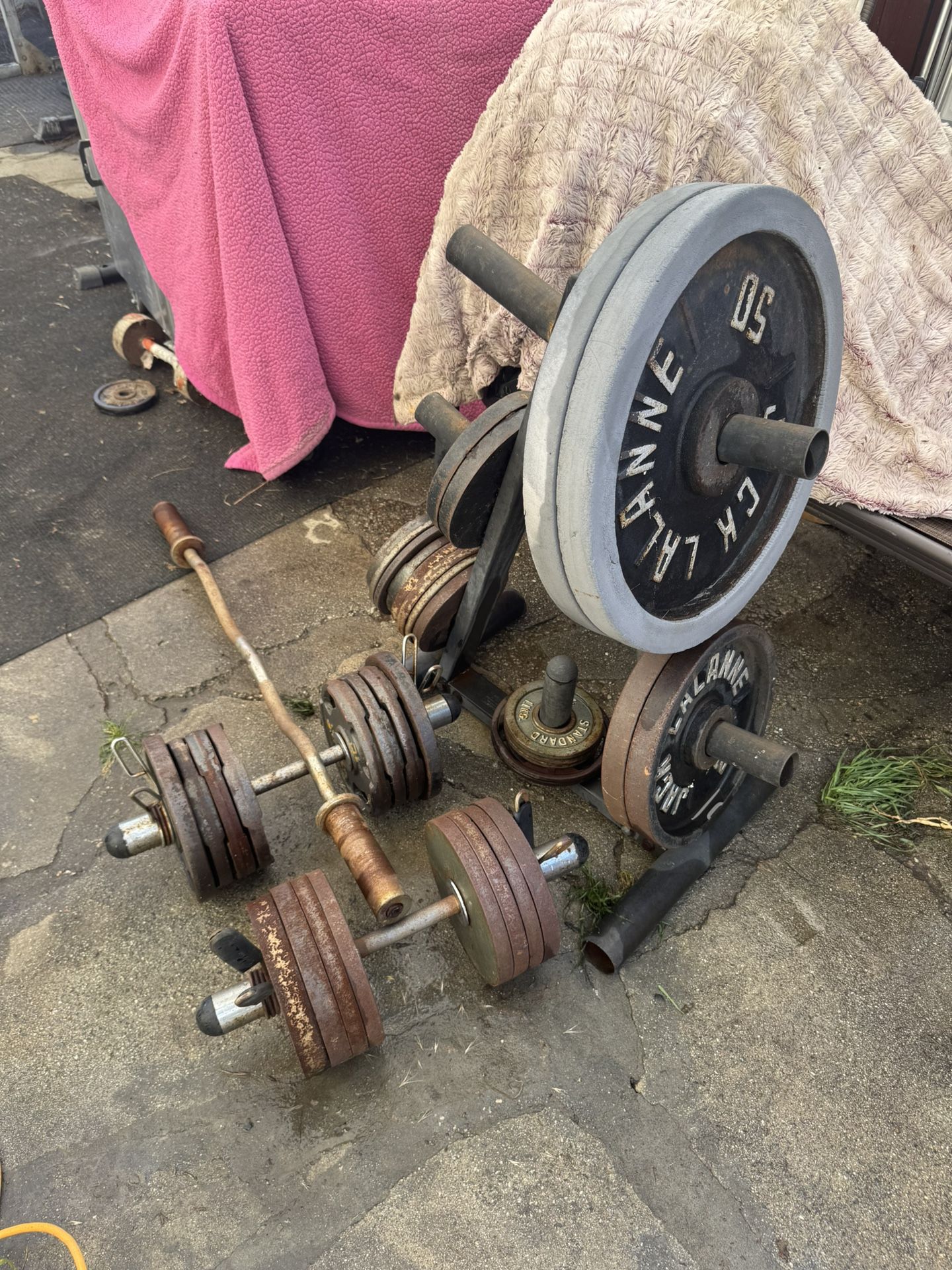 387lbs Olympic Weight With Stand