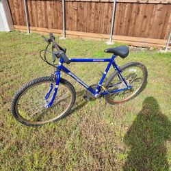 Bicicleta  Road Warrior 