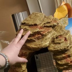 Reptile Supplies