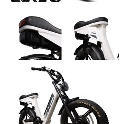 Electric Bike dual motor/dual battery