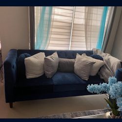 Velvet Blue Sofa  (Living room) 