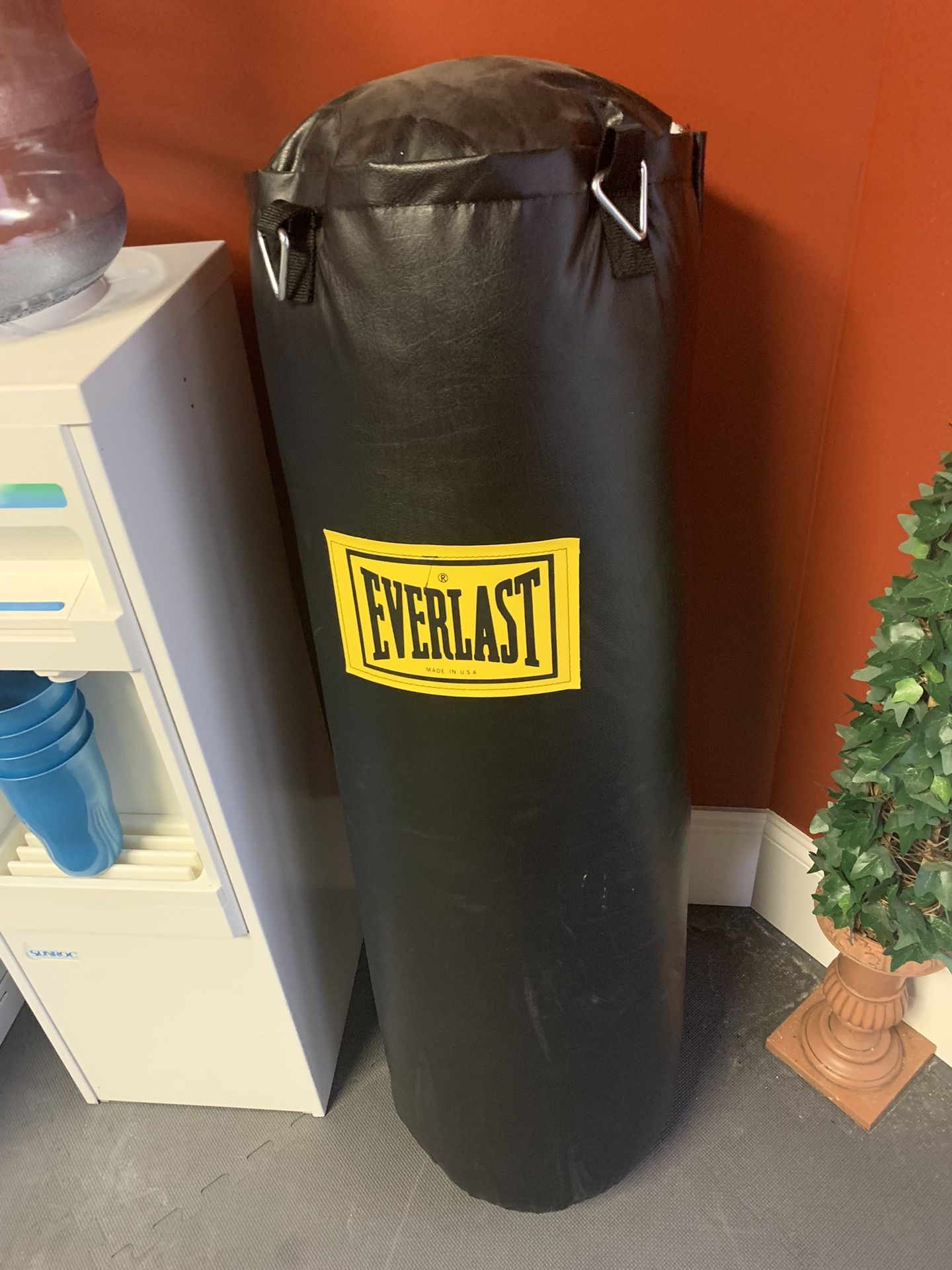 Everlast Punching Bag