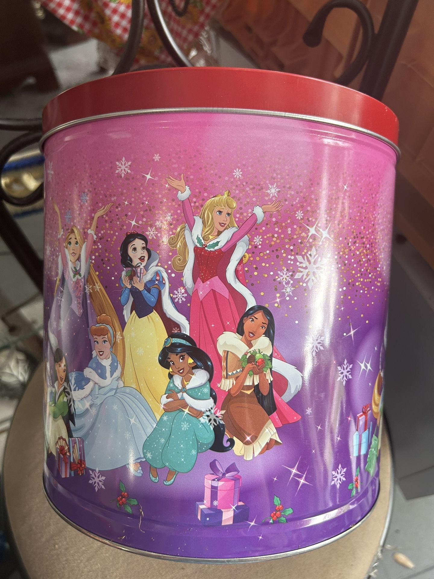Princess Tin Bin