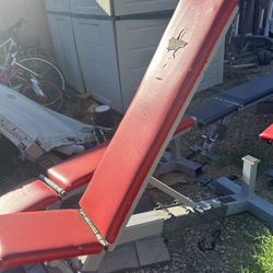 Commercial Adjustable Weight Bench 