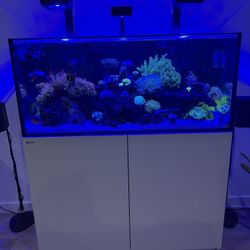 Red Sea  series aquarium system