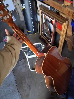 Mitchell guitar