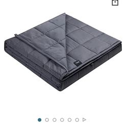 25lb Weighted Blanket 
