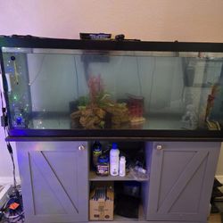 75 Gallon Tank, Stand, Filter, Decorations, and Supplies