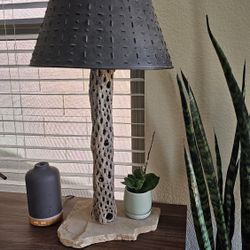 Custom Handmade Cholla Cactus Lamp