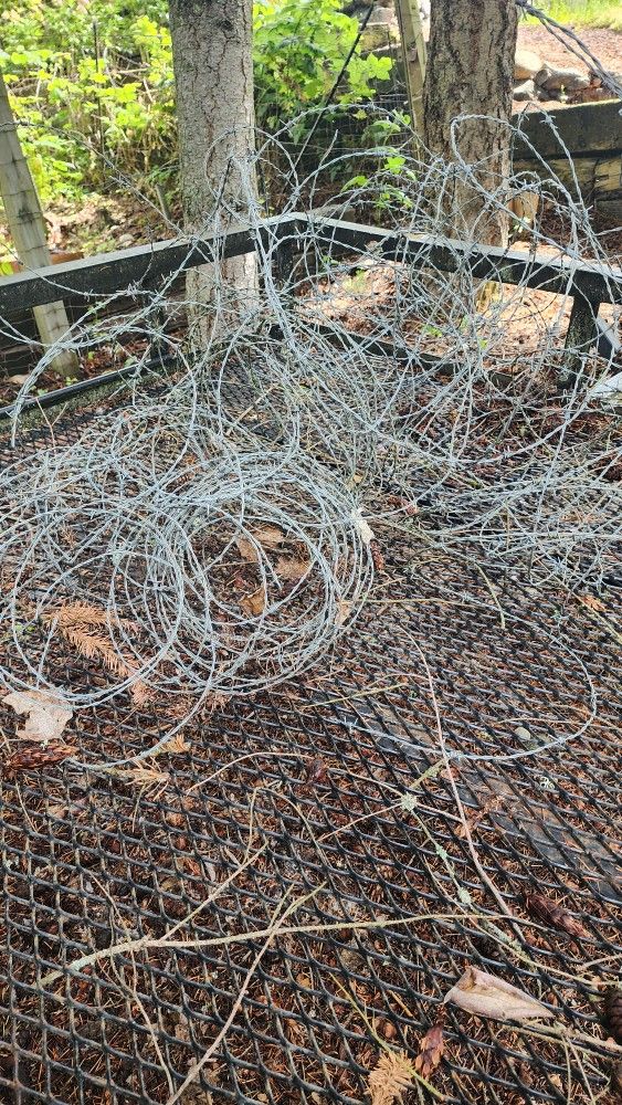 FREE-Pile Of Barbed Wire
