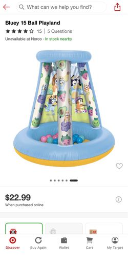 Bluey playland ball pit