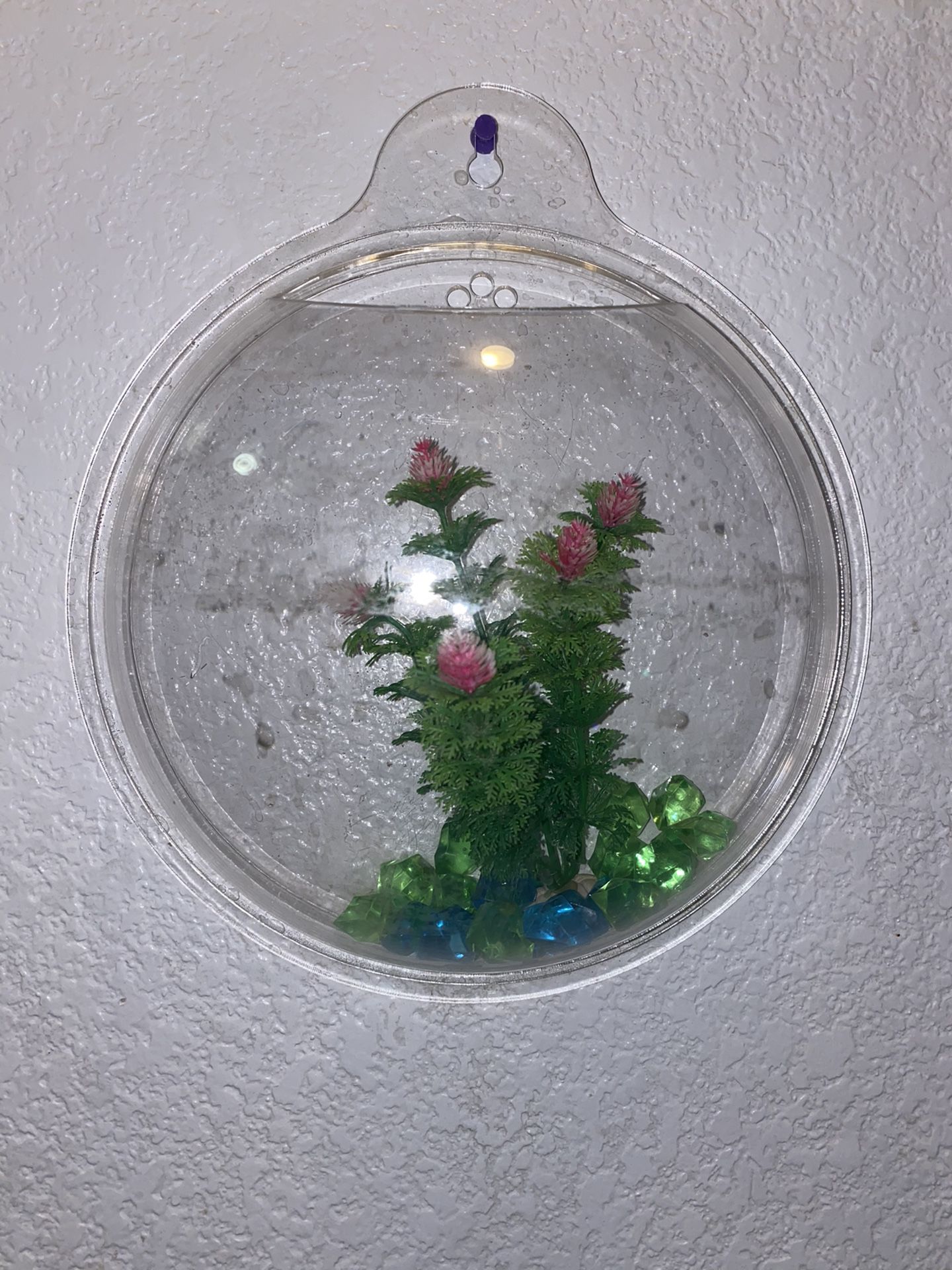 Small plastic hanging fish tank