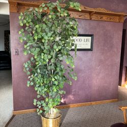 Faux Ginkgo Plant 