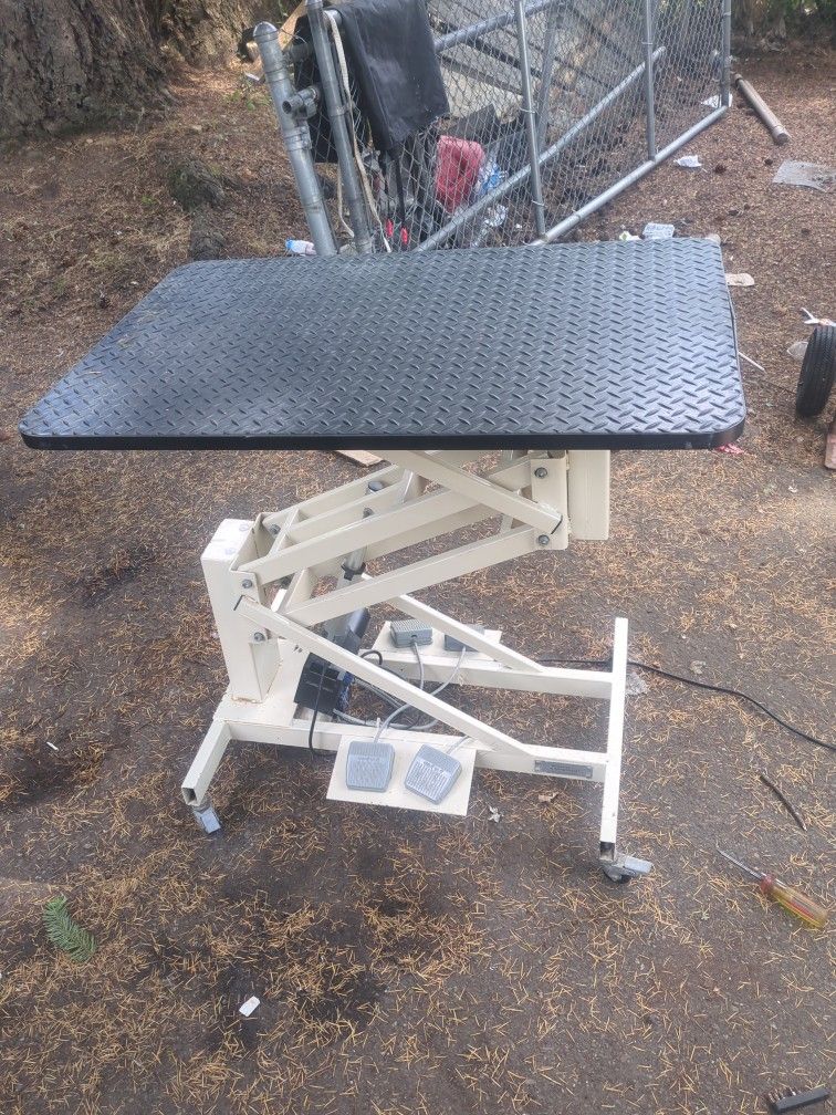 Grooming Table