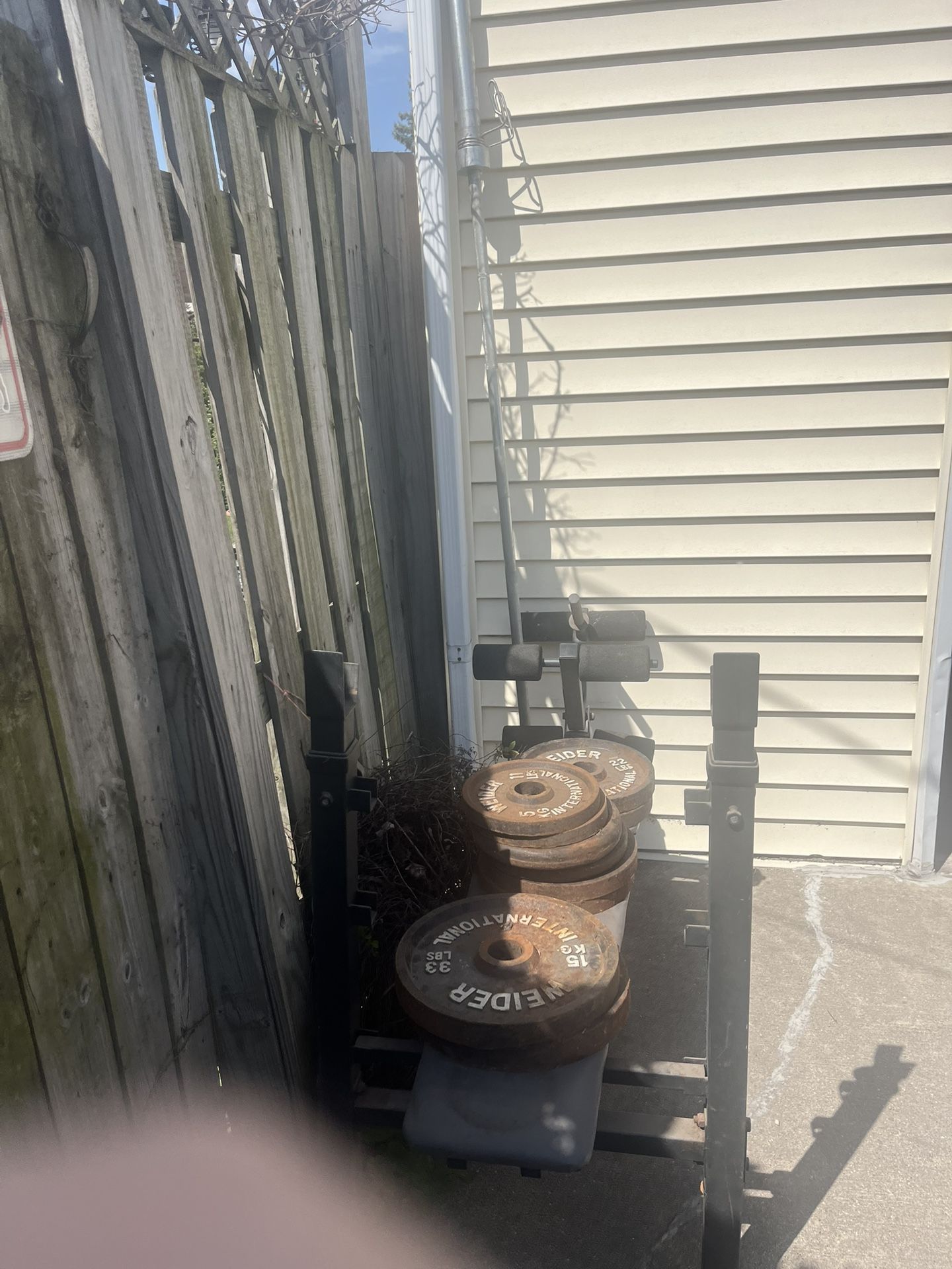 Weight bench With Weight Bar And Weights