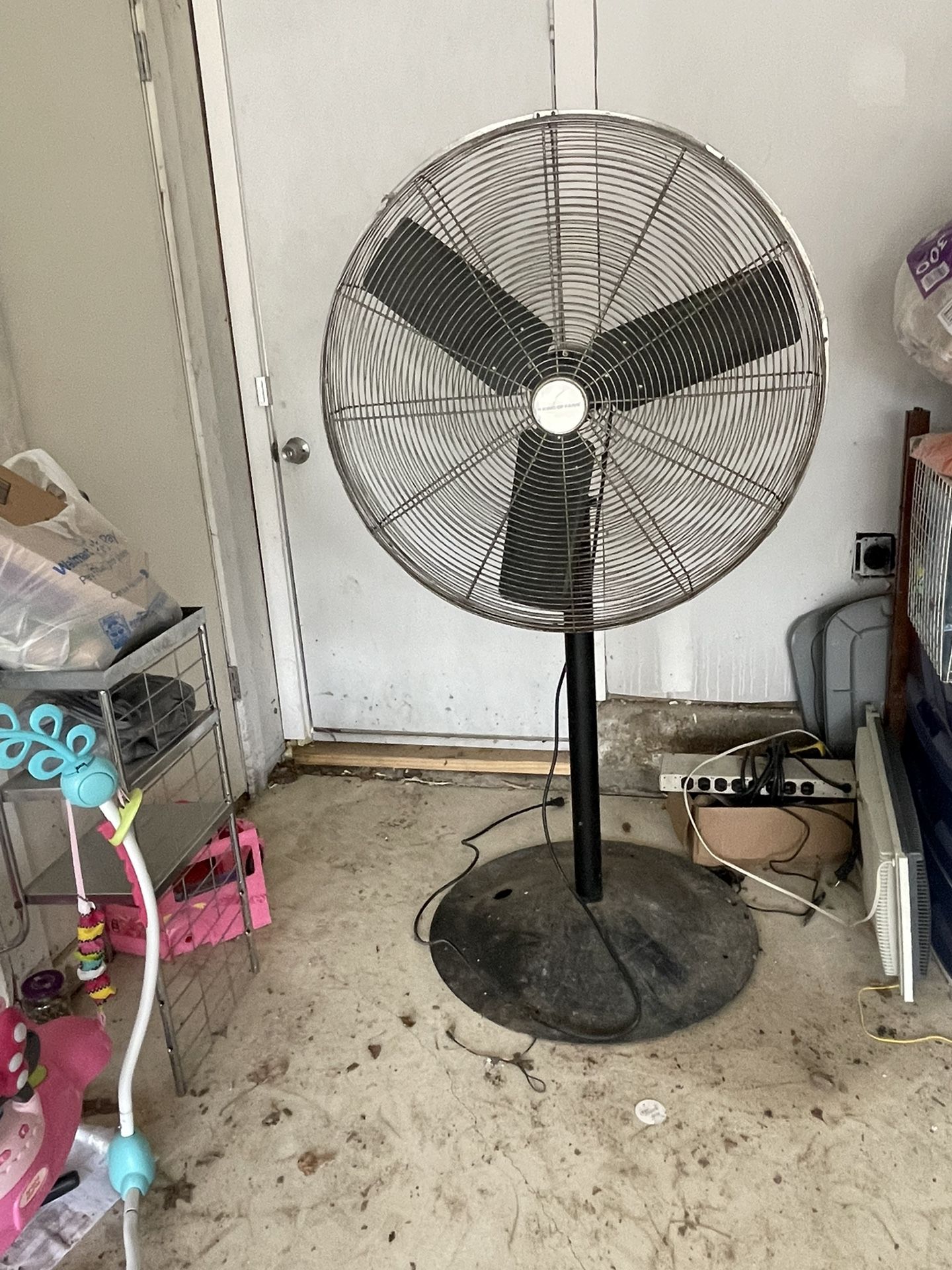King of Fans (Fan) Very Nice
