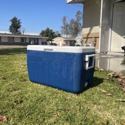 Coleman Cooler