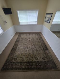 8x11 Generations Egyptian Rug.