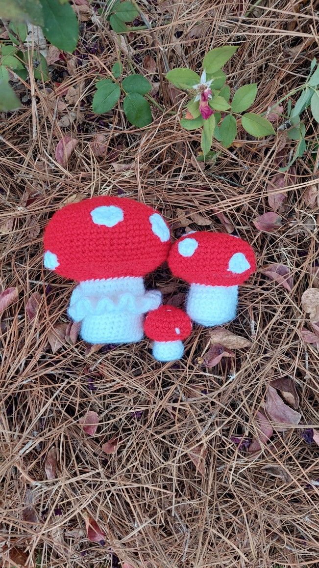 Trio Of Mushrooms
