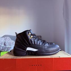 Jordan 12 Master