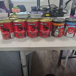 Kirkland and Cesar Wet Dog Food