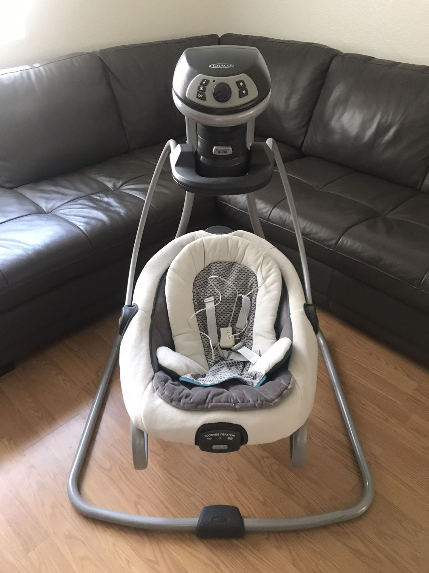 Graco DuetSoothe Swing and Rocker ; )