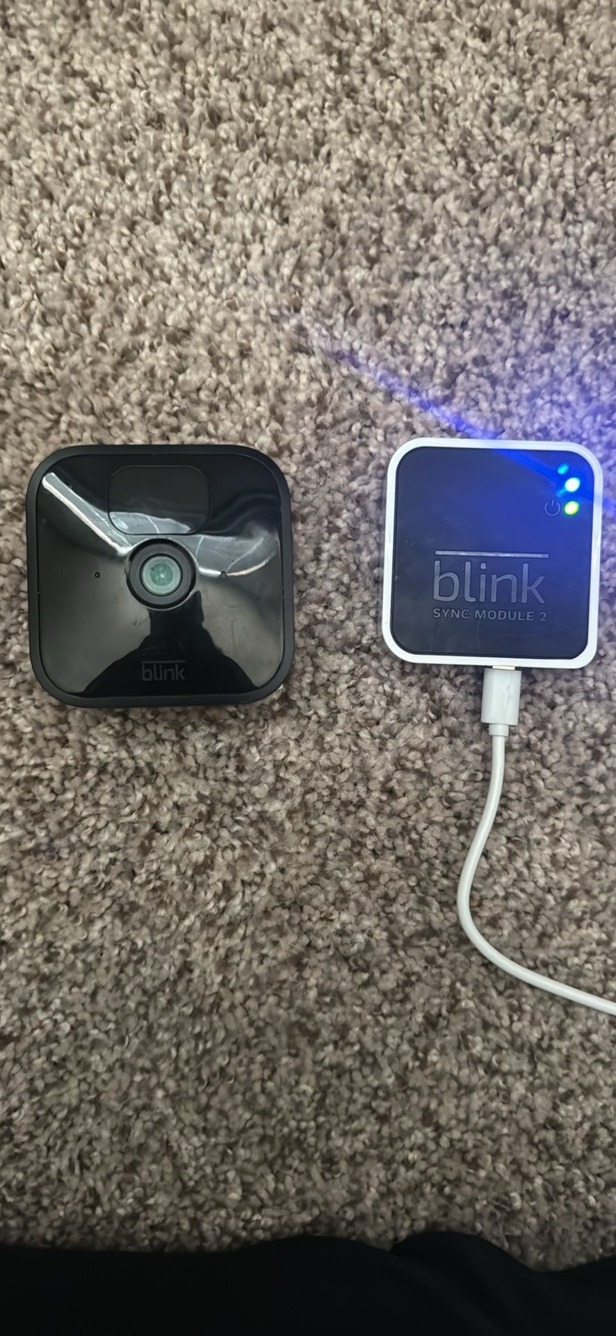 Blink Camera & Sync Module