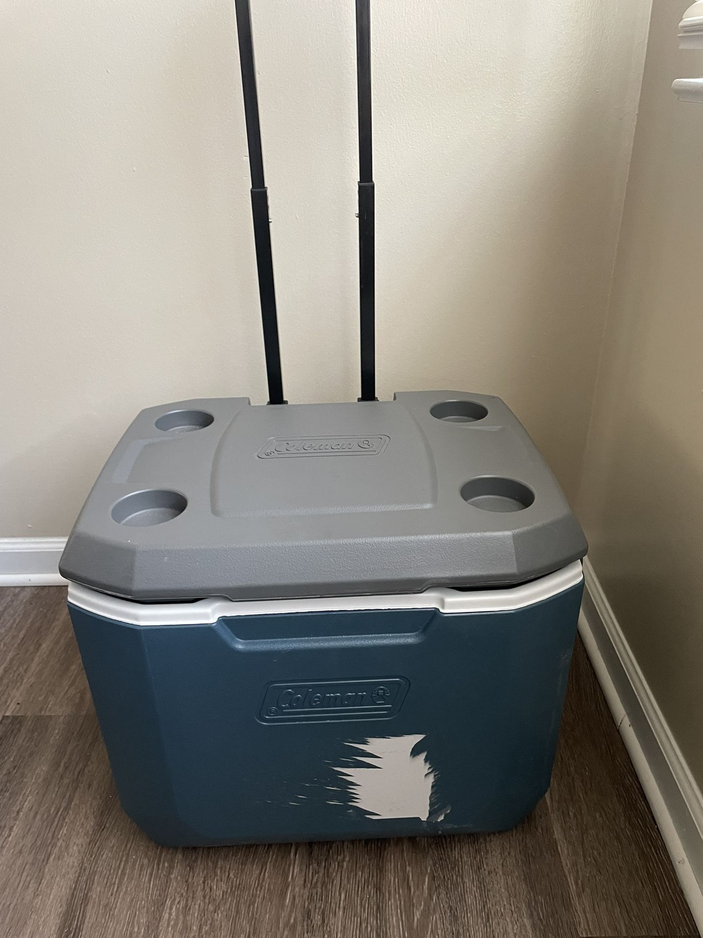 Large Cooler
