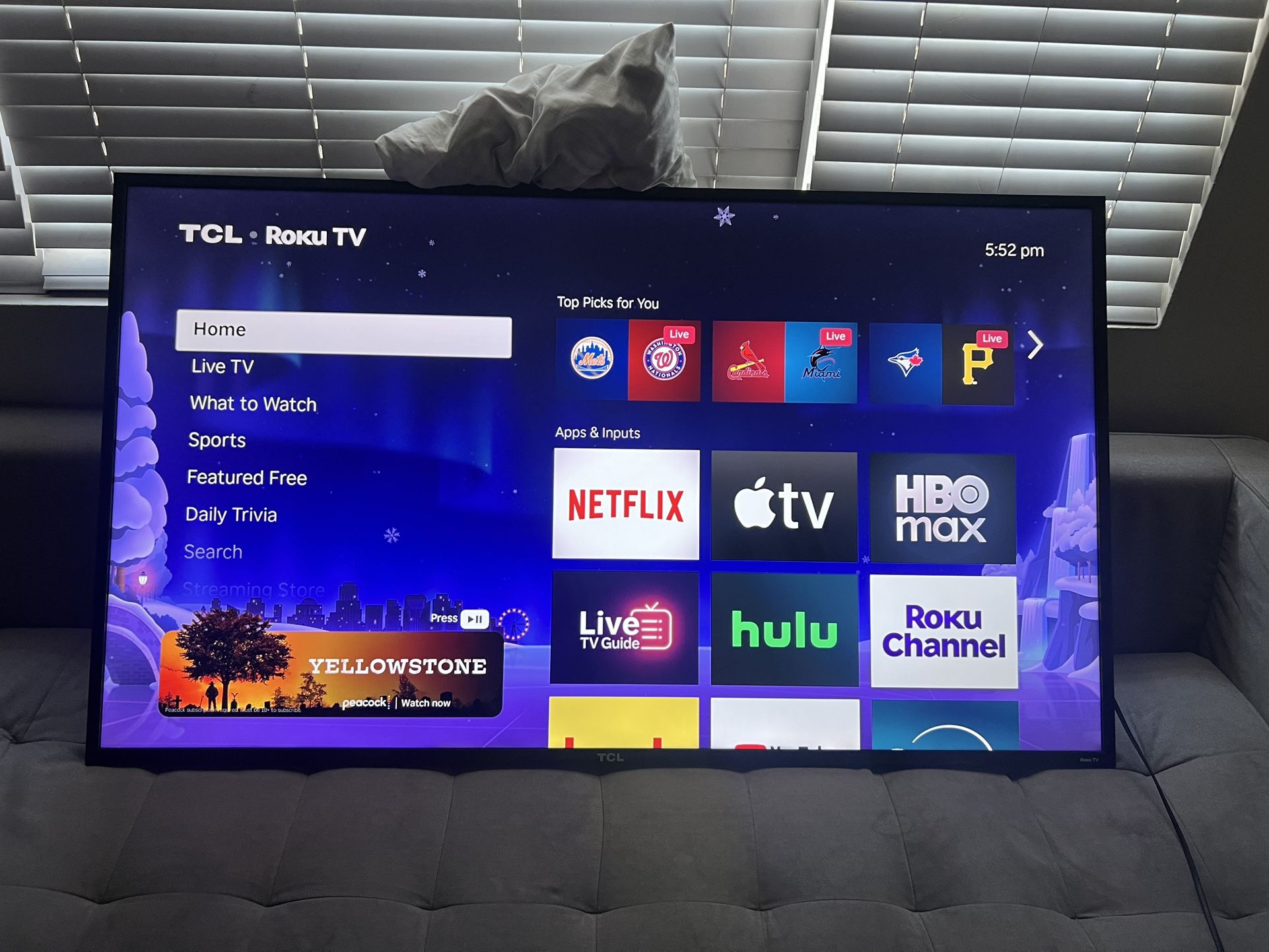65 Inch 4K Roku TCL Smart TV