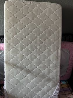 Newton crib mattress