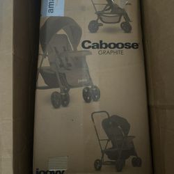 Caboose Graphite Stroller (joovy)